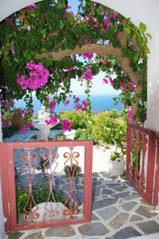 Talrijke bloemen in de straten van Piles op Karpathos Griekenland