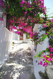 Talrijke bloemen in de straten van Piles op Karpathos Griekenland