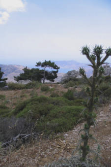 Langs de weg in Lastos Karpathos Griekenland