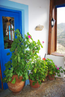 Kleurijke bloemen in aardewerken vazen in tuin Olympos